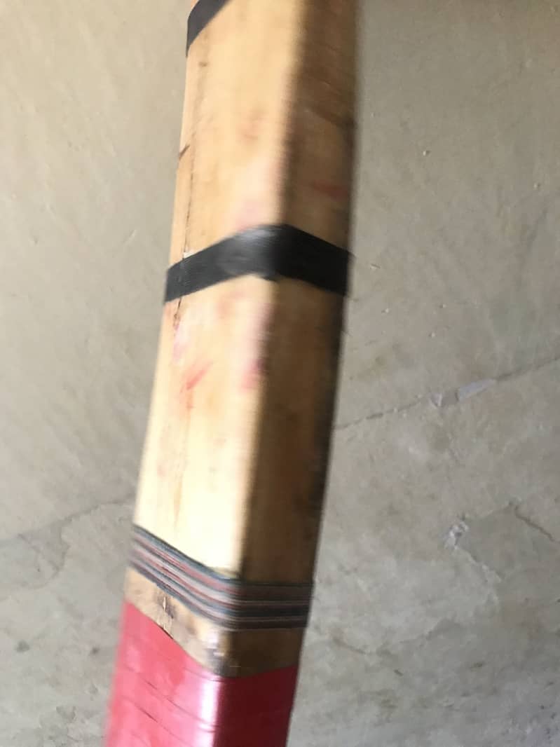 cricket kit 15