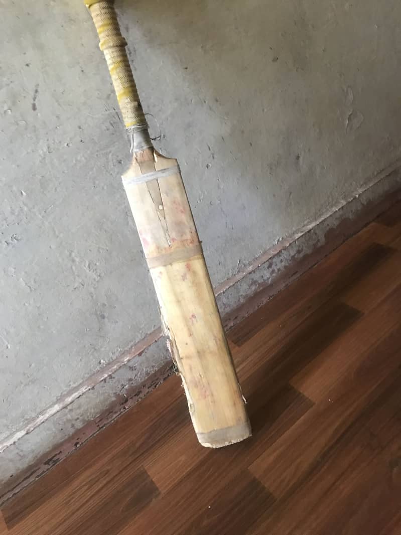 cricket kit 16