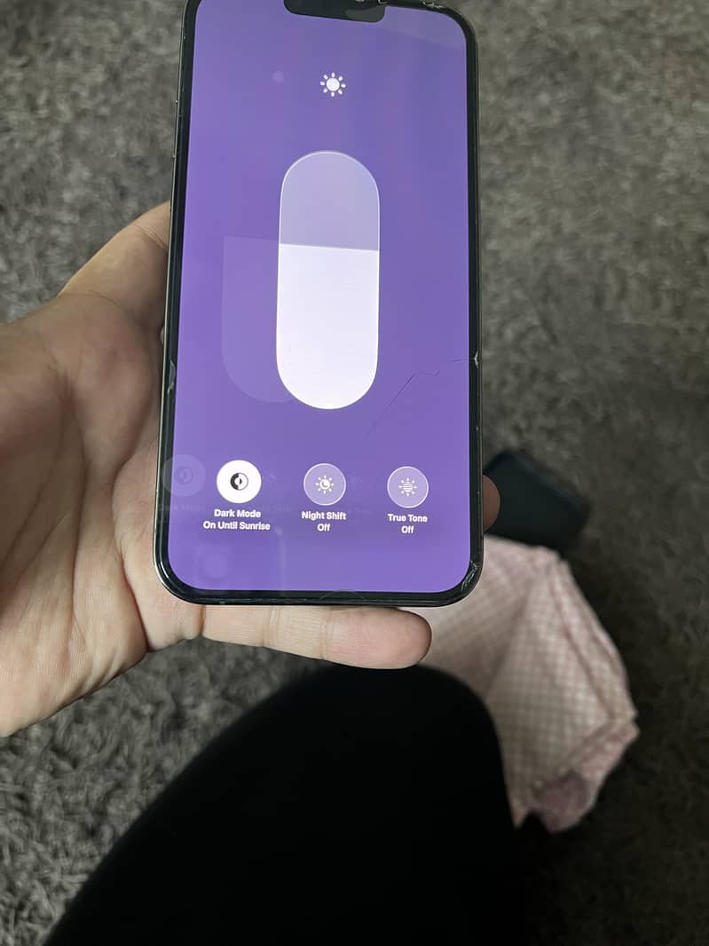 Apple iPhone 13 Pro Max 1