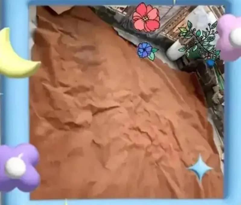 Brown Carpet 1
