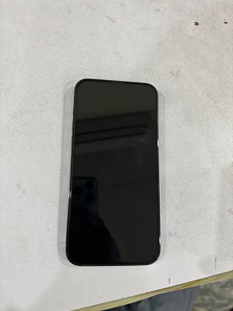 Apple iPhone 13 Pro Max 1