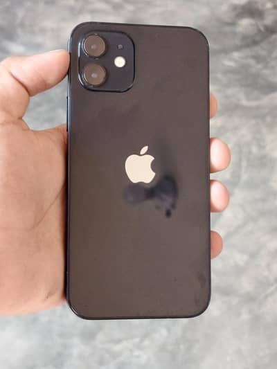 Apple iPhone 12 water pack