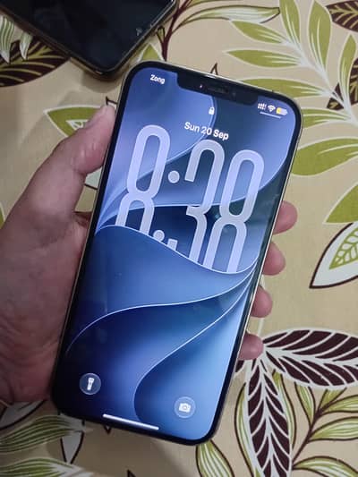 Apple iPhone 12 Pro Max