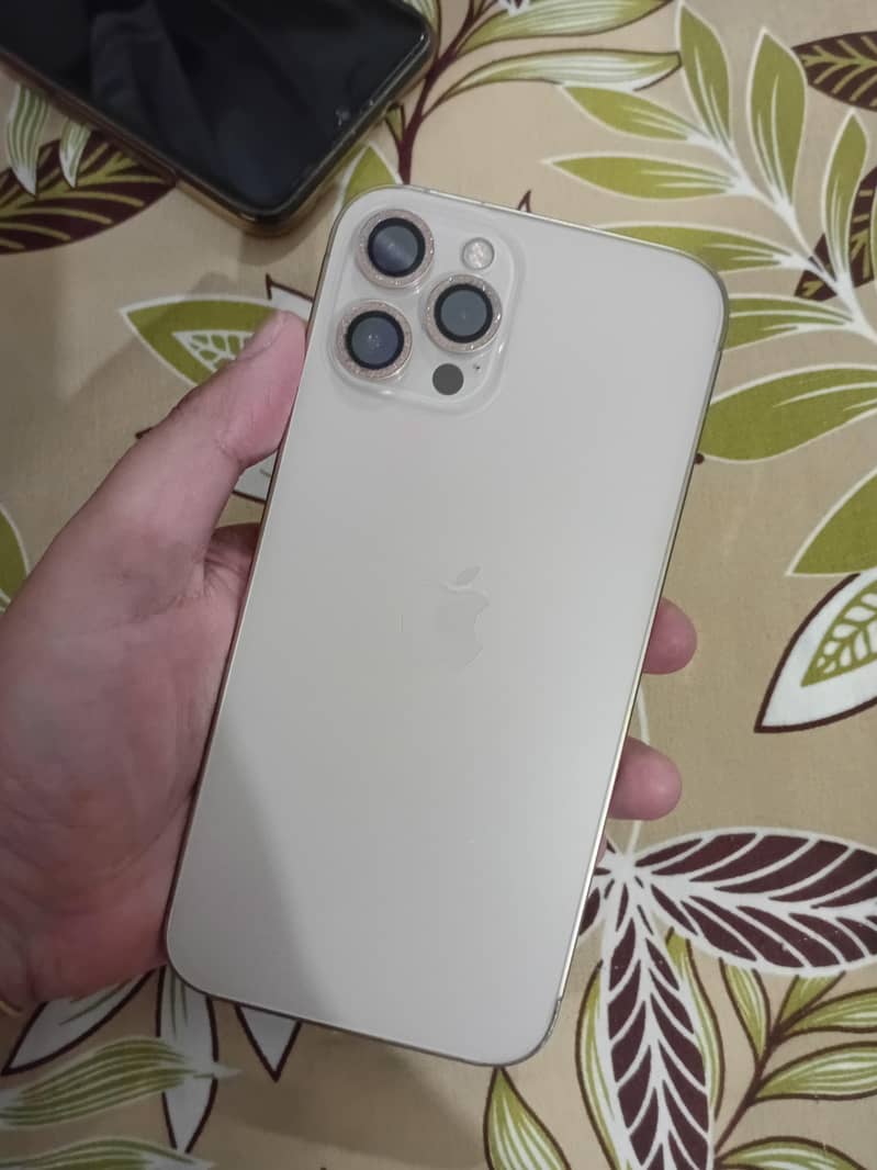 Apple iPhone 12 Pro Max 1