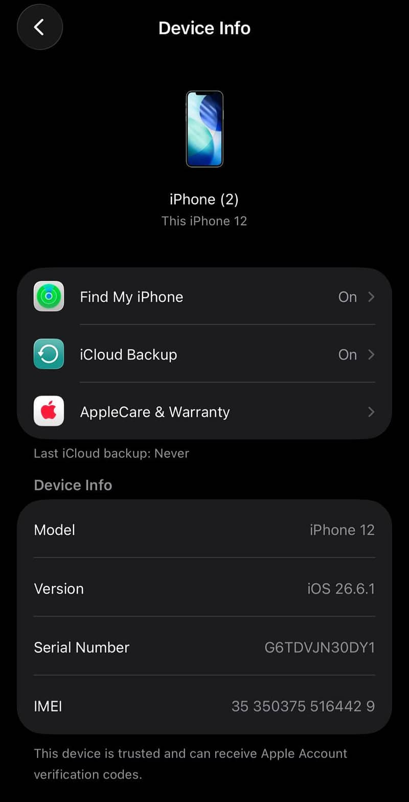 Apple iPhone 12 4