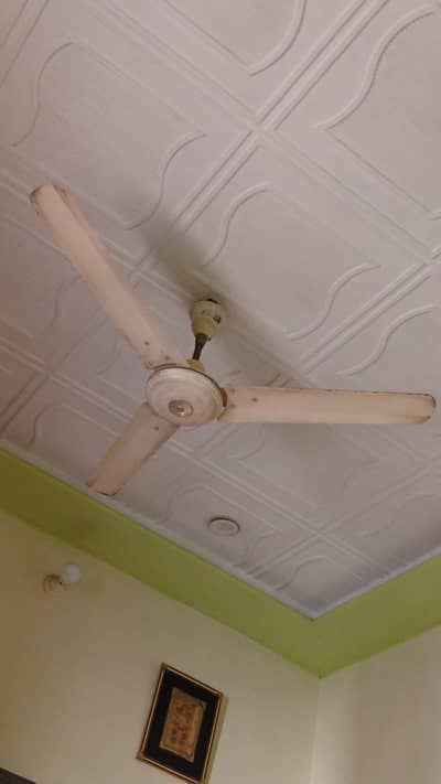fan in use