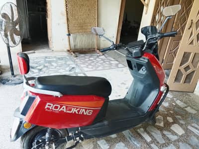 Scoty for sale