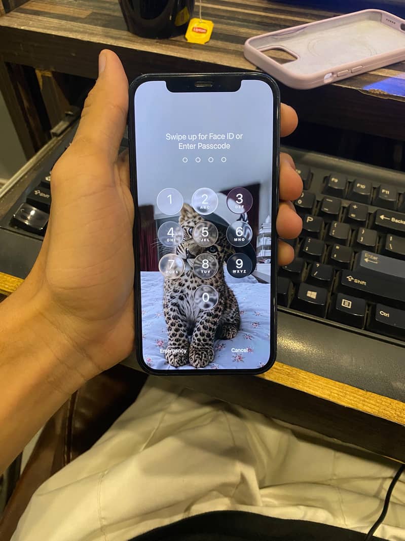 Apple iPhone 12 1