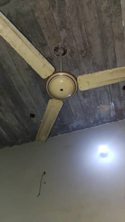 GFC ceiling fan