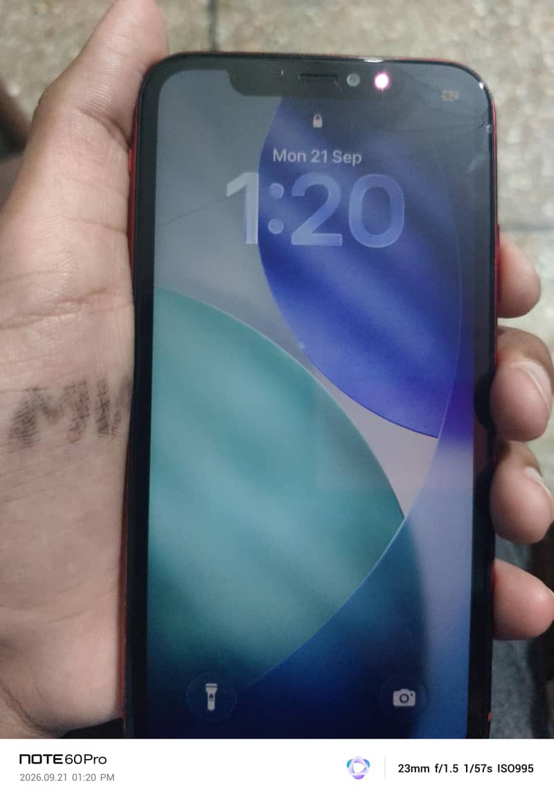 Apple iPhone 11 2