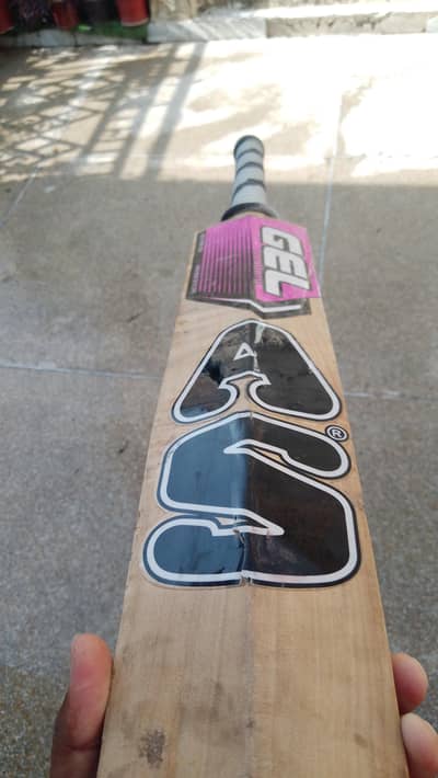 Hard Ball Bat