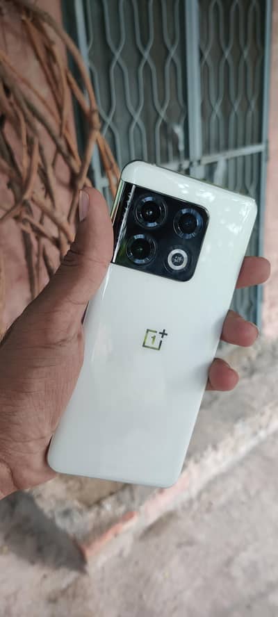 one plus 10 pro panda