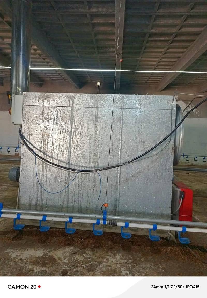 Brooder For poultry farm 3