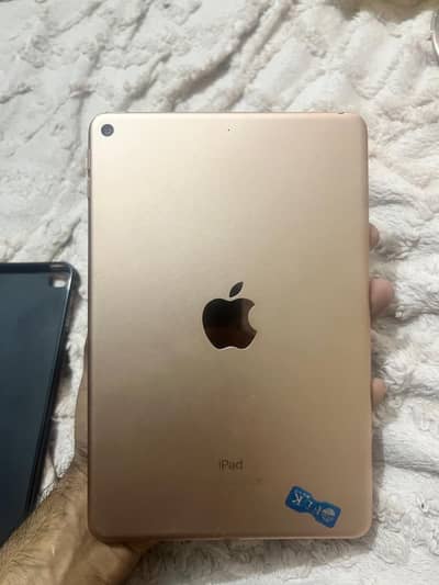 ipad mini 5