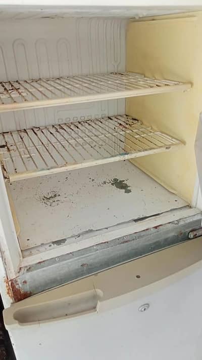 PEL refrigerator medium size