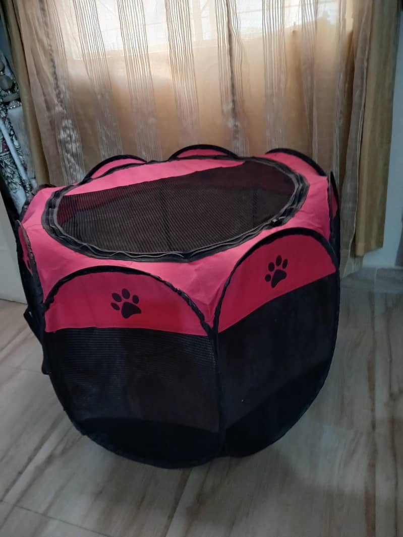 cat cage 2