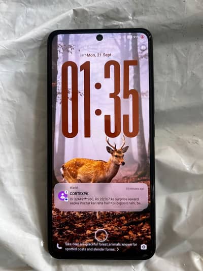 Vivo V60