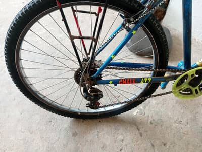 PHOENIX CYCLE