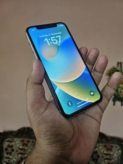 Apple iPhone X