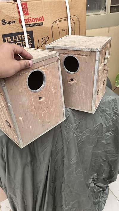 Cocktail Bird Boxes for Sale