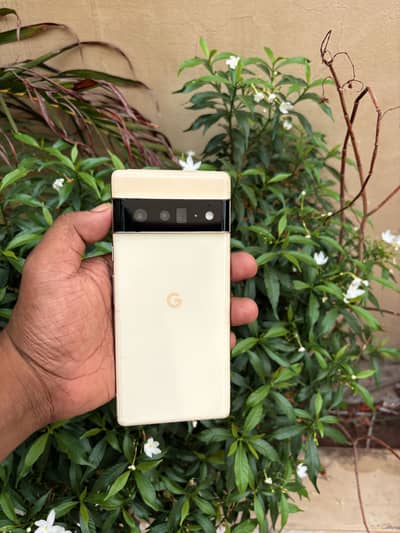 Google Pixel 6 Pro