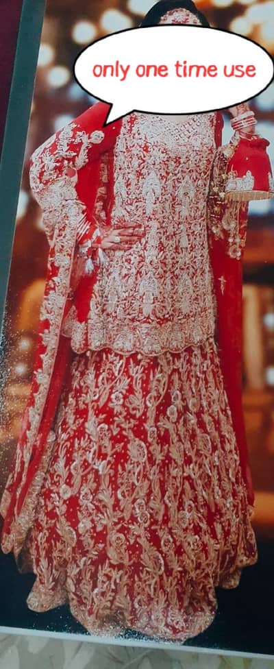 used bridle lengha