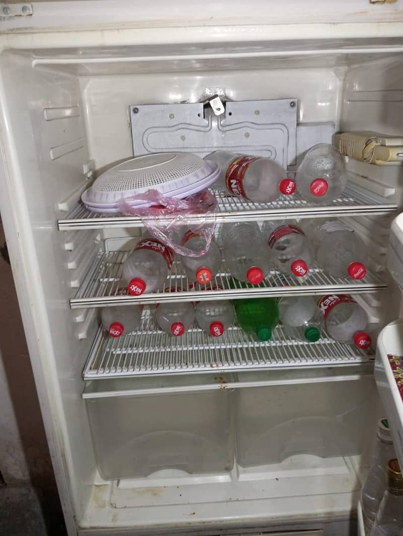 fridge 4