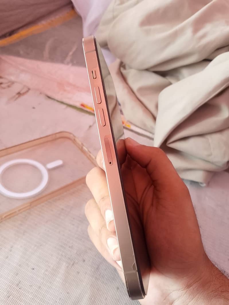 Apple iPhone 13 Pro Max 1