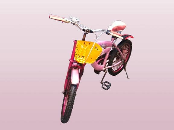 bicycle 2