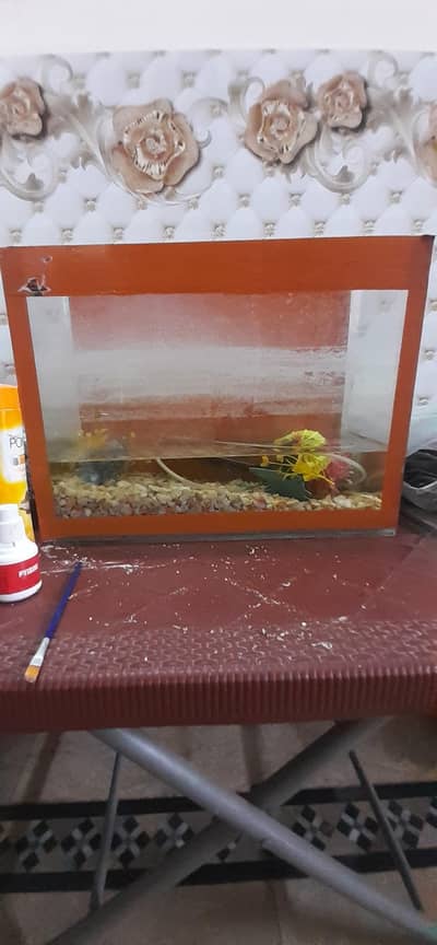 aquarium for sale