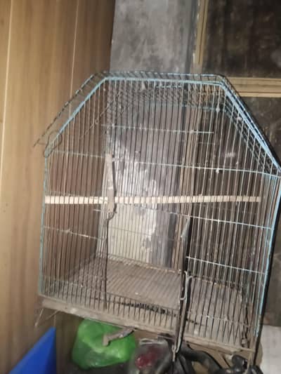hen cage 3 pic