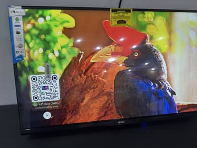 32 INCH QLED HAIER NEW MODEL IPS DISPLAY VOICE REMOTE. O322-I257237