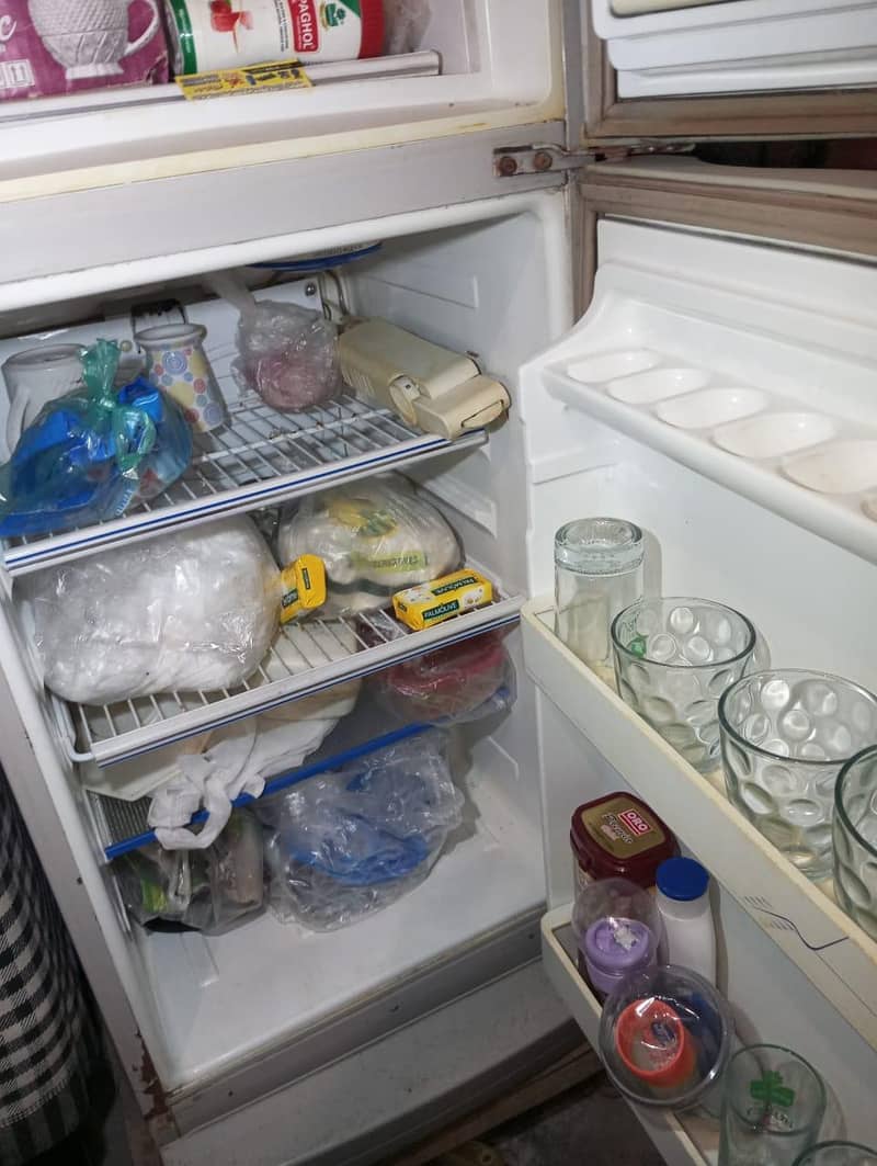 fridge 1