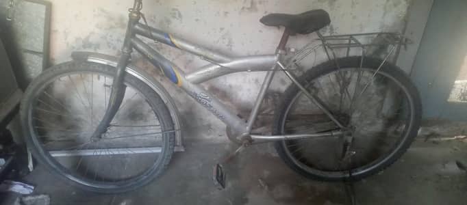 cykal 03145429110