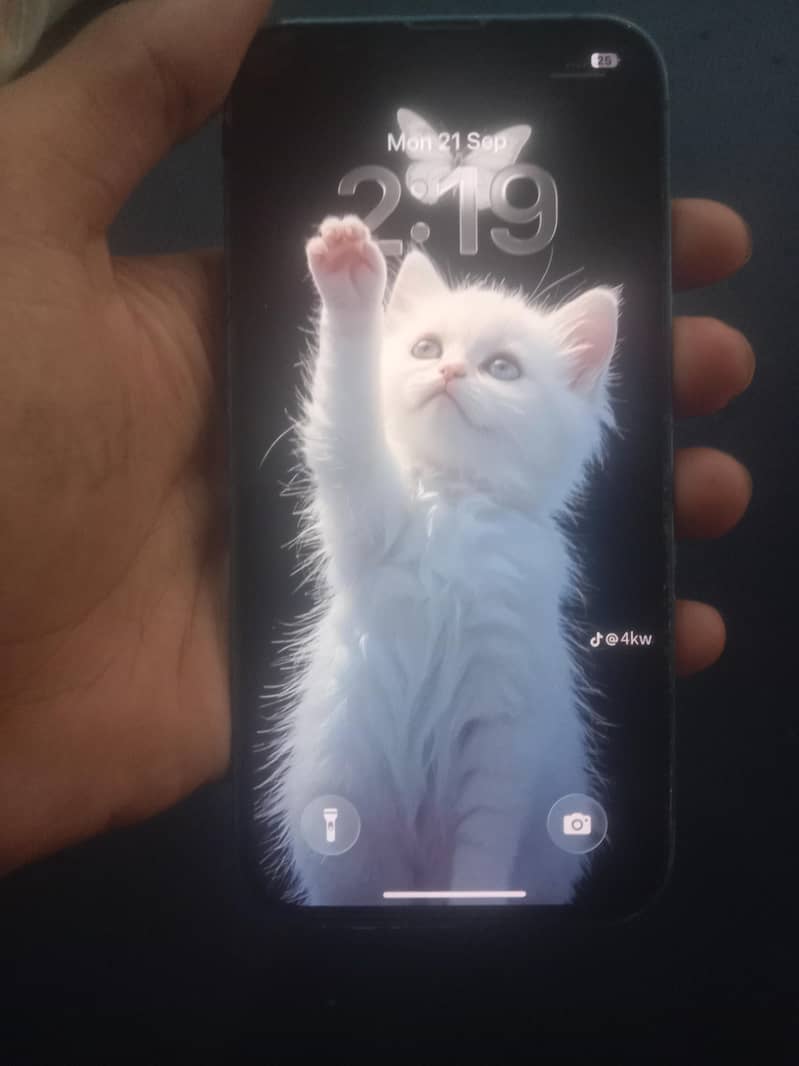 Apple iPhone 13 3