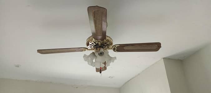 imported fan