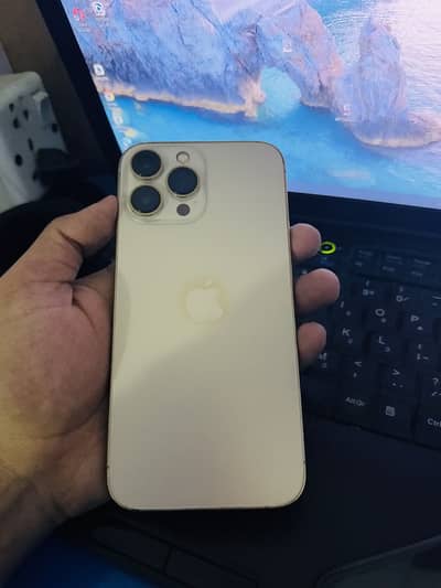 Apple iPhone 13 Pro Max