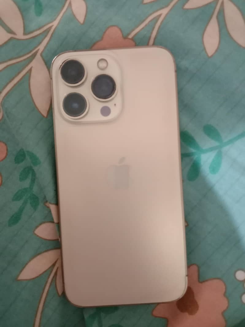 Apple iPhone 13 Pro 0