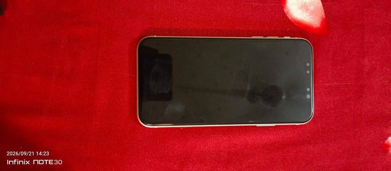 Apple iPhone 11 4