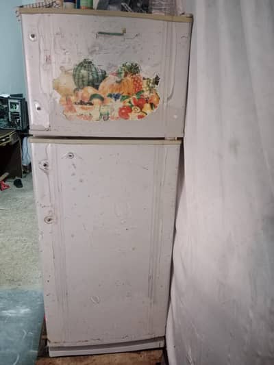 fridge singer