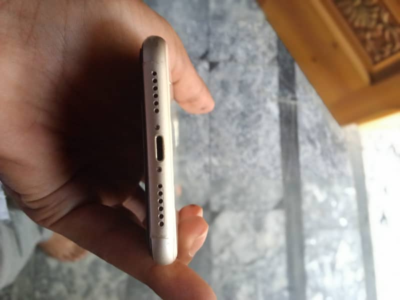 Apple iPhone 11 4
