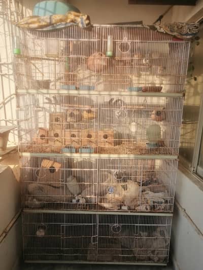 8-Portion Cage (Umar)
