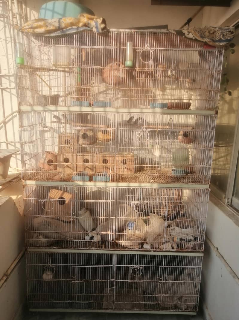 8-Portion Cage (Umar) 0