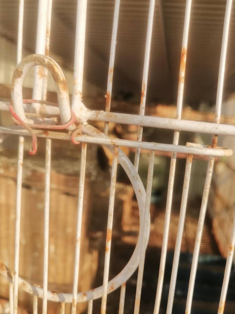 8-Portion Cage (Umar) 3