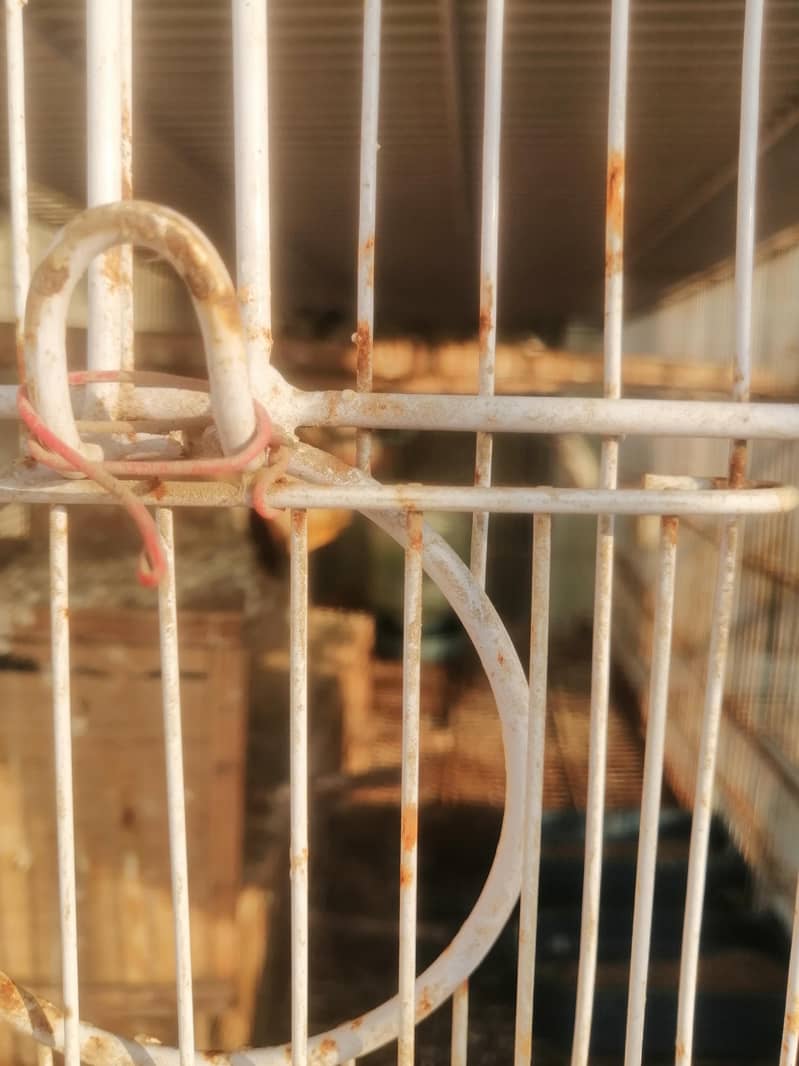 8-Portion Cage (Umar) 4