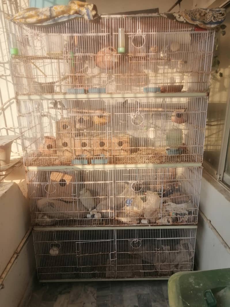 8-Portion Cage (Umar) 6