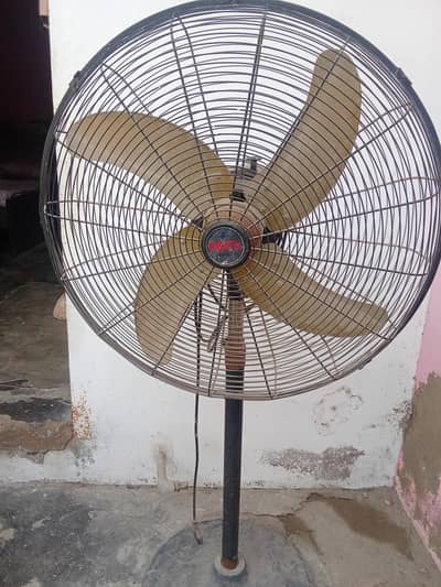 pedistal fan for sale