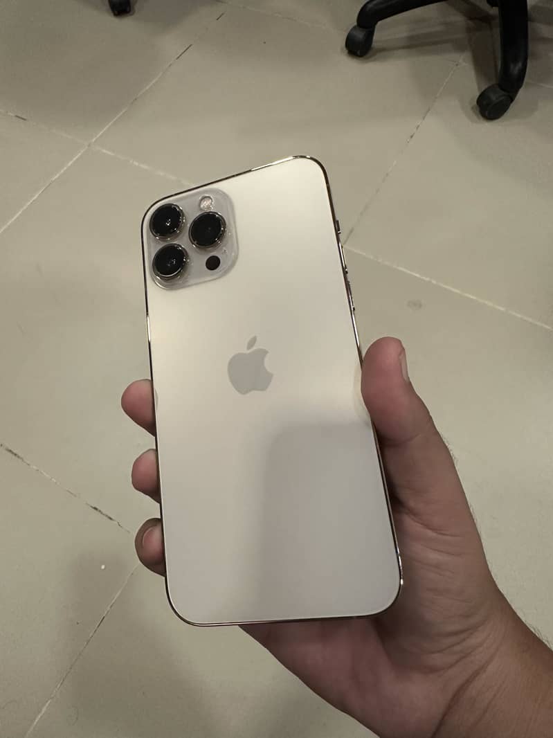 Apple iPhone 13 Pro Max 0