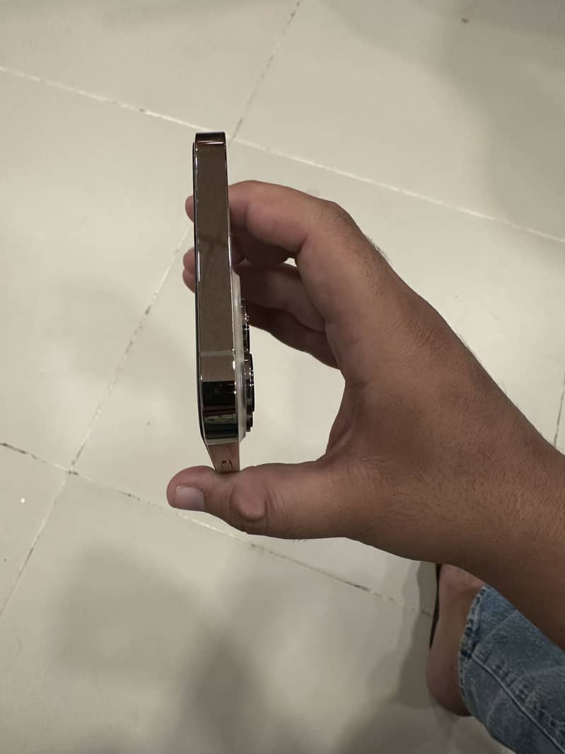 Apple iPhone 13 Pro Max 1