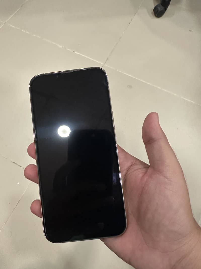 Apple iPhone 13 Pro Max 2